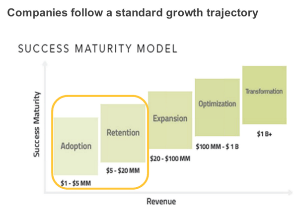 success-maturity-model