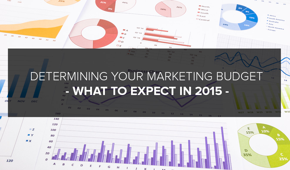 MarketingBudgets-2015