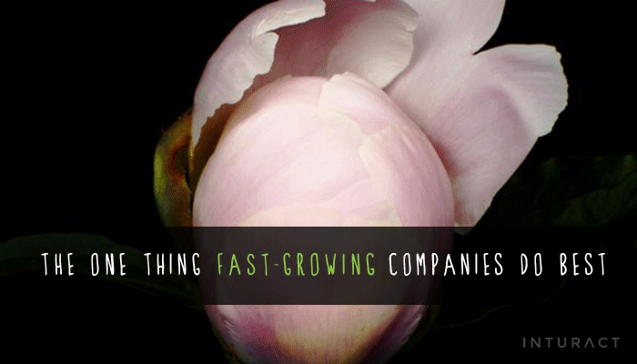 The-One-Thing-FastGrowing-Companies-Are-Doing.gif