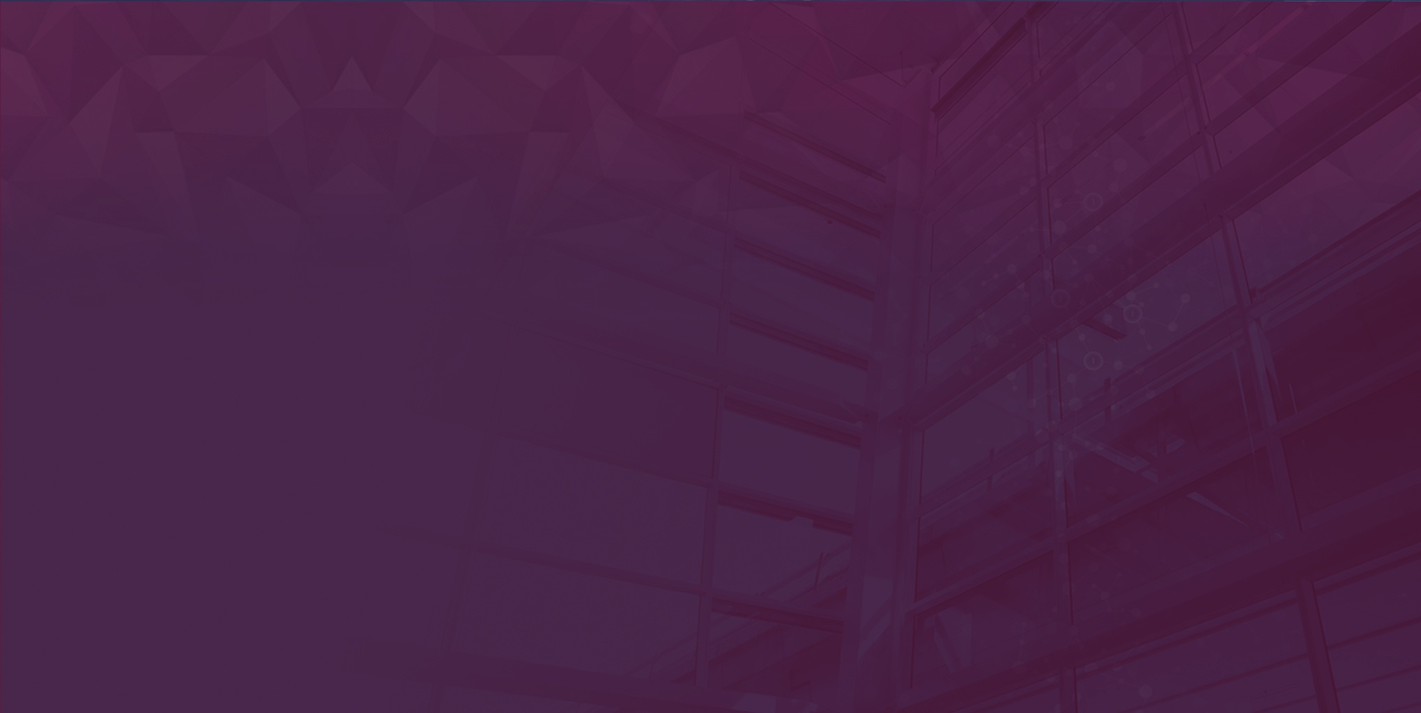 nosaasholes_footer_bg