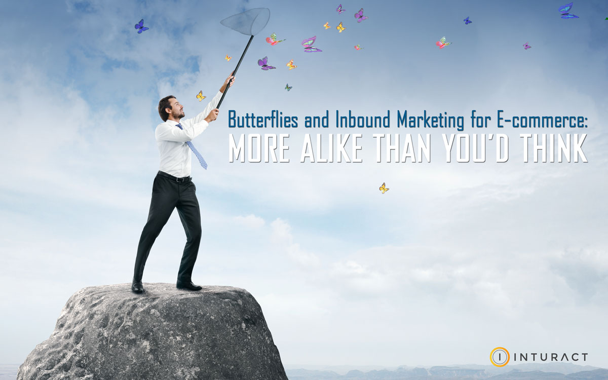 Butterflies and Inbound Marketing More Alike Than You'd Think